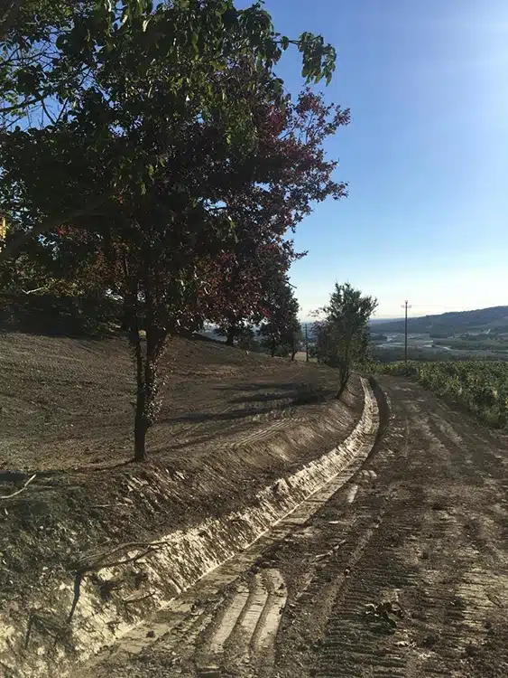 preservare-il-patrimonio-pubblico preservare-il-patrimonio-pubblico